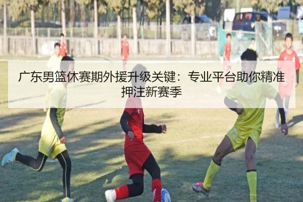 广东男篮休赛期外援升级关键：专业平台助你精准押注新赛季